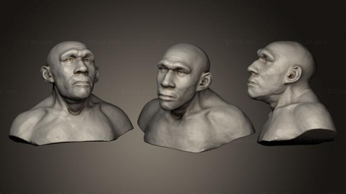 Бюсты и головы античные и исторические (Гомосапиенс 3, BUSTA_0429) 3D модель для ЧПУ станка